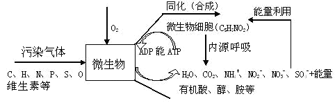 污水處理廠除臭