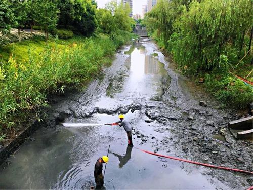 為什么微生物除臭劑可以直接加到水里？不會污染水嗎？