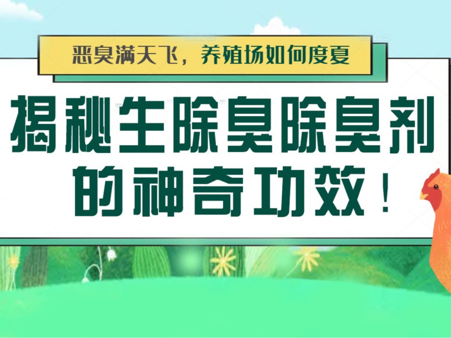 惡臭滿天飛，養(yǎng)殖場如何度夏？揭秘生物除臭劑的神奇功效！